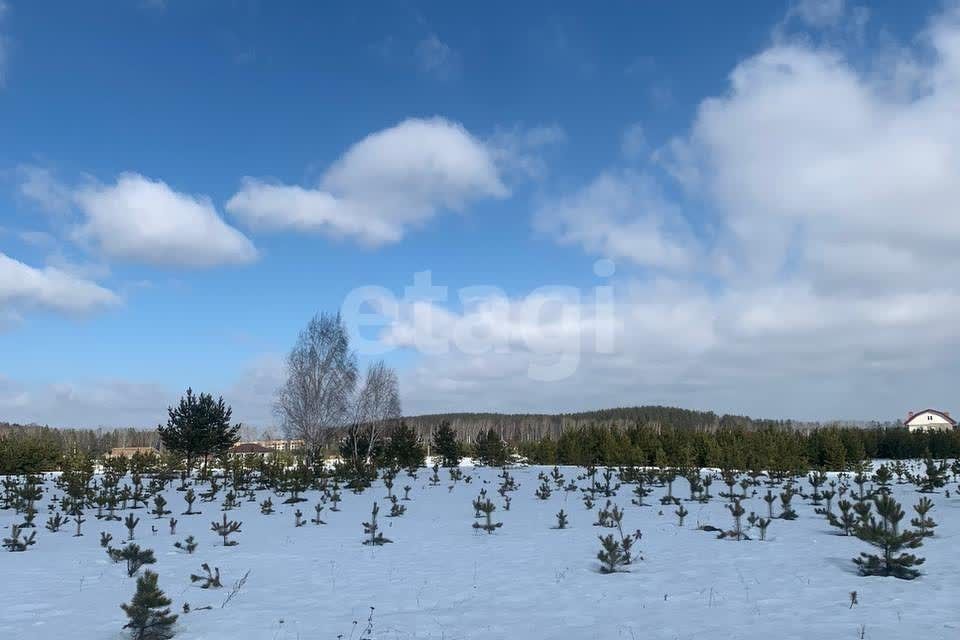 земля р-н Сысертский снт Дачное Екатеринбург, некоммерческое партнёрство Аэродром, Февральская улица, муниципальное образование фото 1