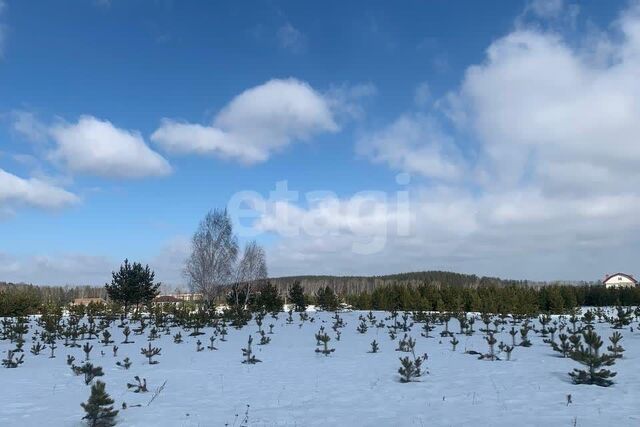 снт Дачное Екатеринбург, некоммерческое партнёрство Аэродром, Февральская улица, муниципальное образование фото