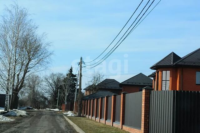 село Толмачево фото