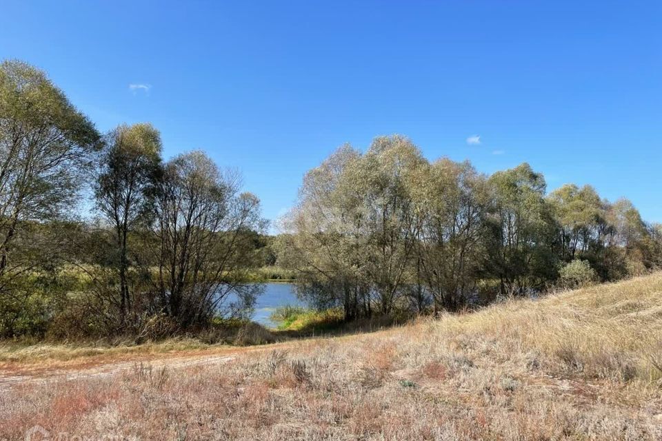 земля р-н Усманский село Савицкое фото 2