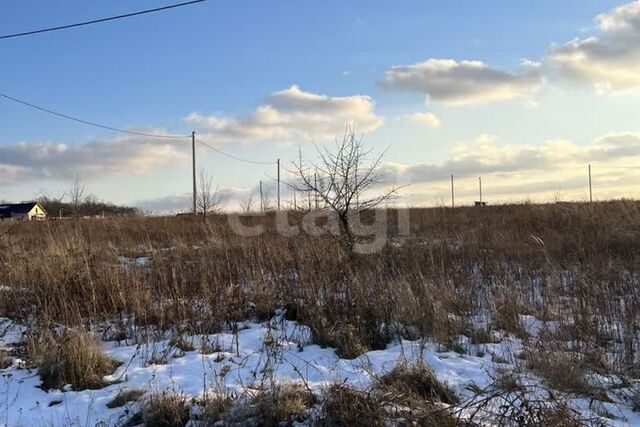 муниципальное образование Белгород фото