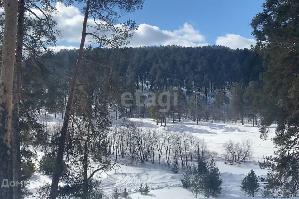 земля р-н Кусинский г Куса ул Красногвардейская фото 3