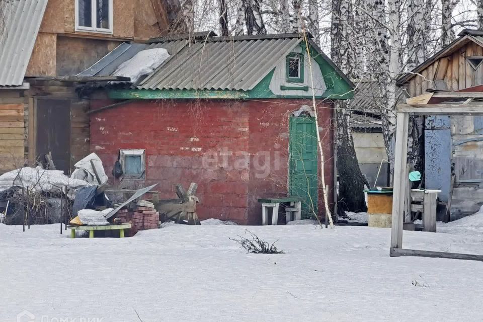 земля р-н Омский СНТ Красная Гвоздика, 3-я аллея фото 10