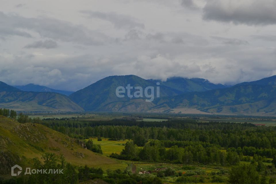 земля р-н Усть-Коксинский село Усть-Кокса фото 5