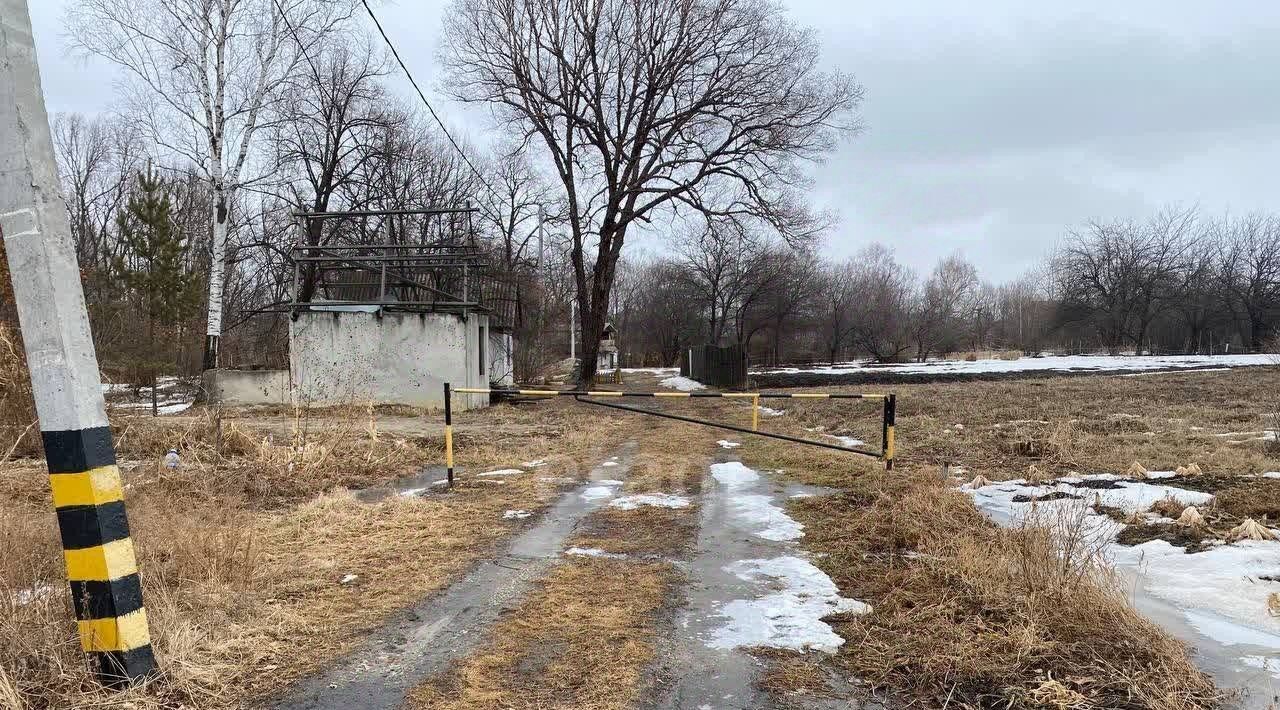 земля р-н Благовещенский с Чигири ул Барбарисовая фото 1