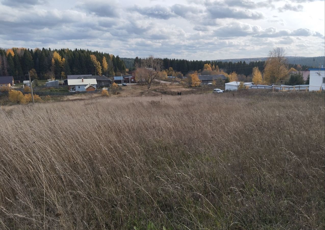 земля г Добрянка п Полазна д Нижнее Задолгое фото 2