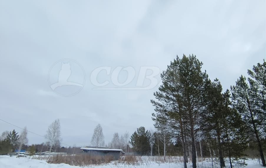 земля р-н Нижнетавдинский снт Здоровье-3 Тюмень фото 2