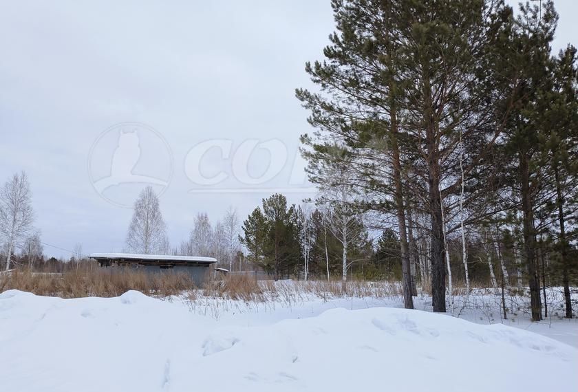 земля р-н Нижнетавдинский снт Здоровье-3 Тюмень фото 6