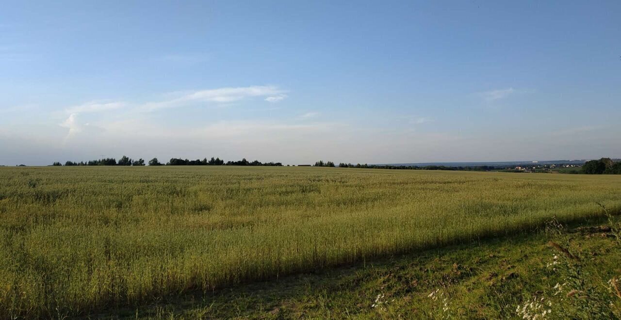 Продам земельный участок ижс в деревне Подсухино городской округ Шаховская  20.0 сот 900000 руб база Олан ру объявление 117608712