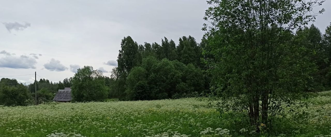 земля р-н Кондопожский п Марциальные Воды Петровское сельское поселение, Кондопога фото 2