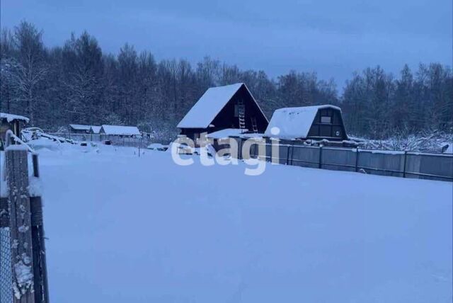 п Белоостров ул Центральная 1 Курортный район фото