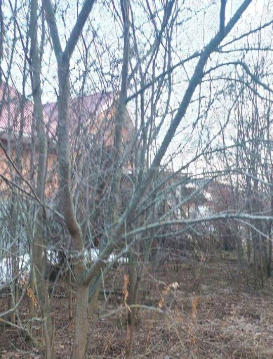земля г Тольятти снт Приозерье Федоровские луга садоводческий массив фото 3