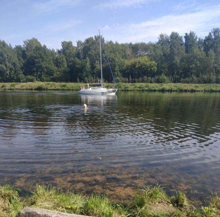 дом городской округ Дмитровский п Мельчевка Автомобилист СНТ фото 17