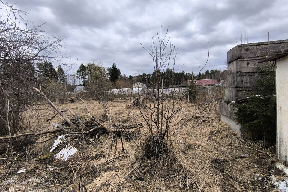 земля городской округ Талдомский деревня Малое Страшево фото 4