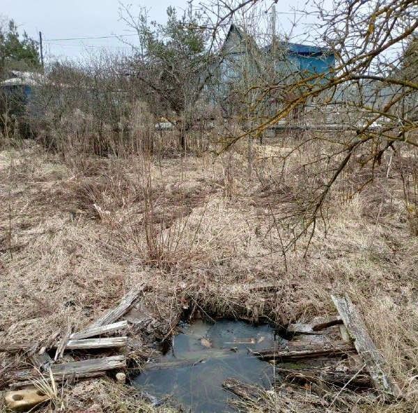 земля р-н Новгородский Панковское городское поселение, № 2 садоводческий массив, ул. Северная фото 5