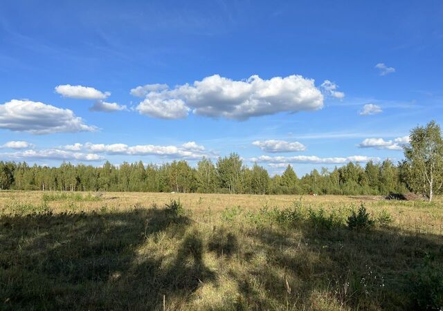 сельсовет, Владимирская область, Гороховец, Володарский муниципальный округ фото