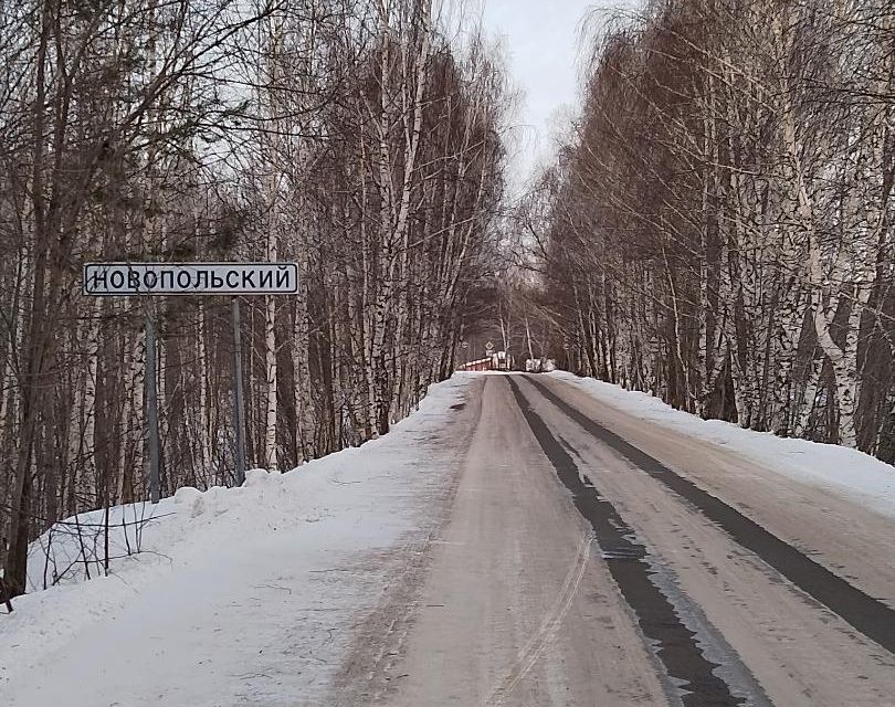 земля р-н Зеленодольский п Новопольский ул Свободы фото 5