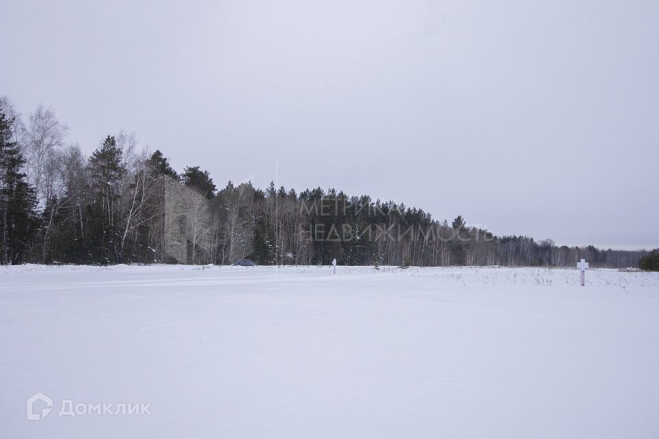 земля р-н Тюменский с Мальково ул Новая 18 фото 10