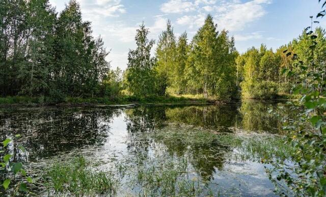 Фрязино, Нахимовская улица фото