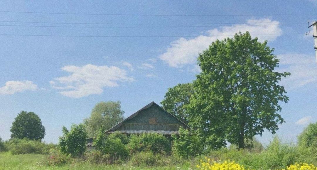 дом р-н Старицкий д Степурино ул Центральная фото 4