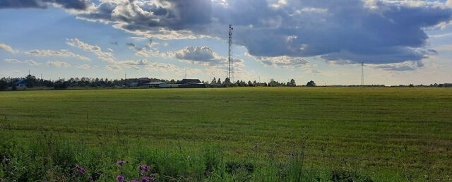 п Дружинино Дружининское городское поселение фото