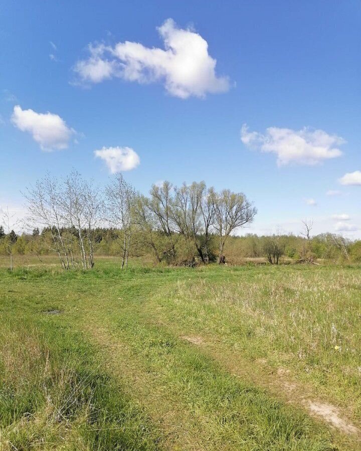 земля городской округ Можайский п Уваровка коттеджный пос. Никитино фото 15