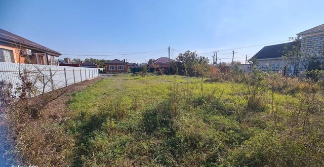 Красносадовское сельское поселение, Сад, Батайск фото