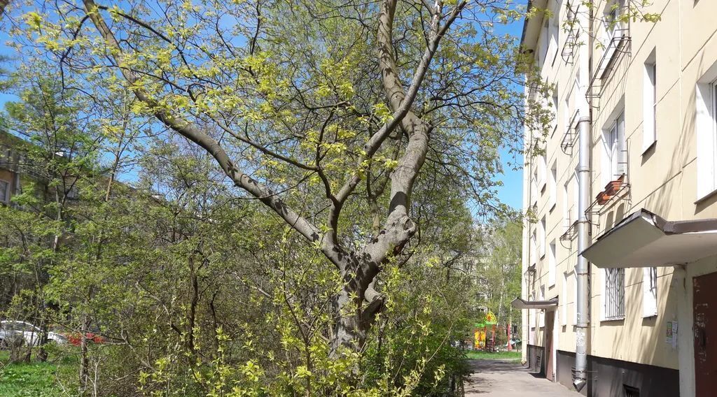 квартира г Санкт-Петербург метро Ленинский Проспект б-р Новаторов 4 фото 10