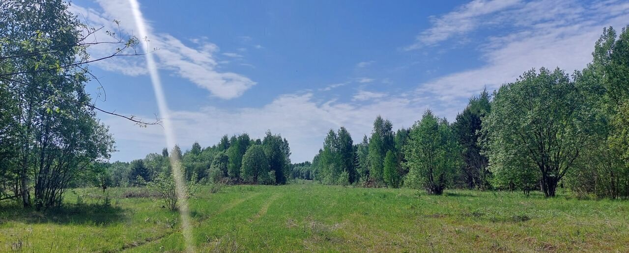 земля р-н Усольский с Романово муниципальное образование город Березники, Березники фото 8