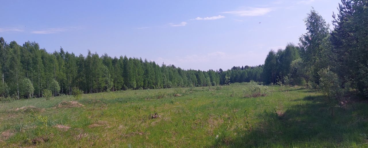 земля р-н Усольский с Романово муниципальное образование город Березники, Березники фото 10