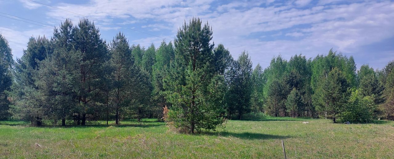 земля р-н Усольский с Романово муниципальное образование город Березники, Березники фото 11