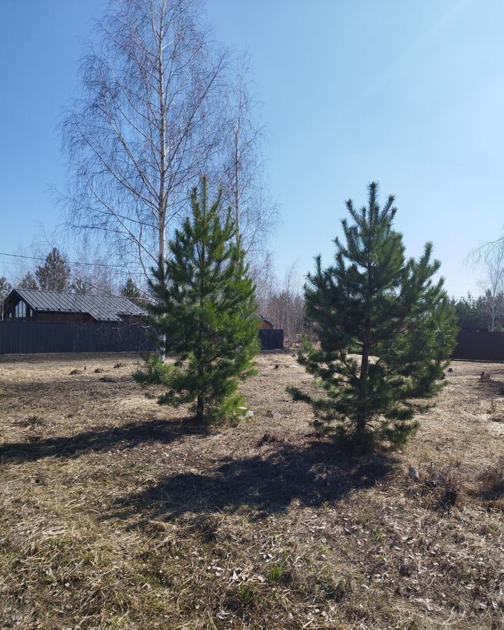 земля г Воронеж р-н Железнодорожный снт БОЛЬШАЯ СЕМЬЯ ул Полевая фото 16