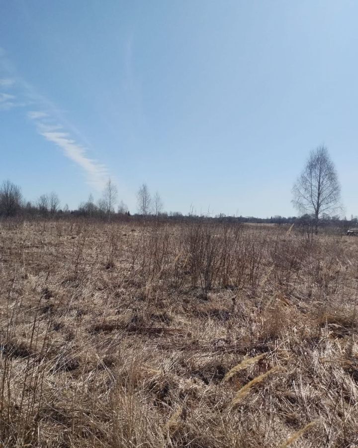 земля р-н Псковский д Поддубье Псков, Логозовская волость фото 3