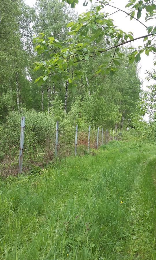 земля г Коломна п Новоселки садовое товарищество Ягодное, Воскресенск фото 12