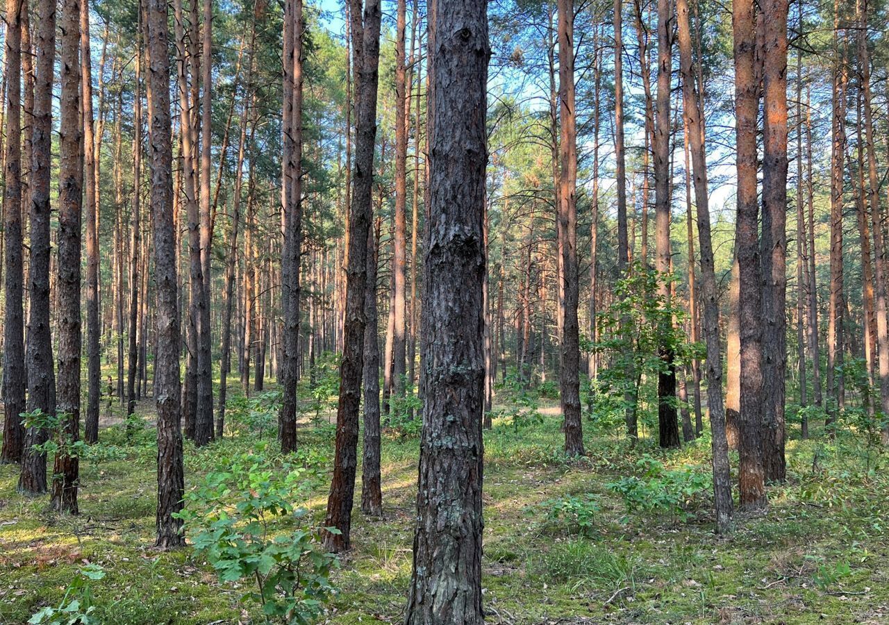 земля направление Курское (юг) ш Симферопольское 71 км, Серпухов фото 7