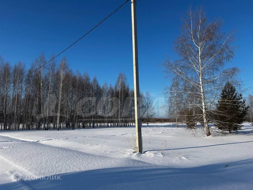 земля р-н Нижнетавдинский садоводческое товарищество У Сосны фото 3