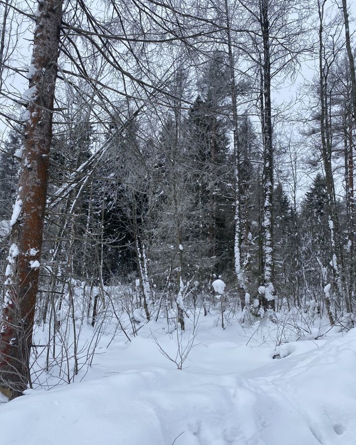 земля г Череповец р-н Заягорбский ул Сочинская фото 2