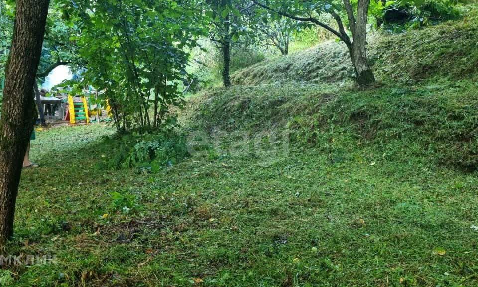 земля городской округ Сочи, село Алексеевское фото 4