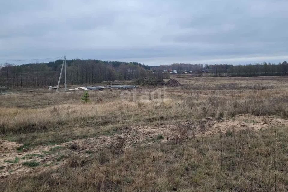 земля р-н Муромский д Коржавино ул Зелёная фото 2