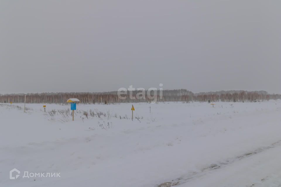 земля р-н Сосновский деревня Осиновка фото 4