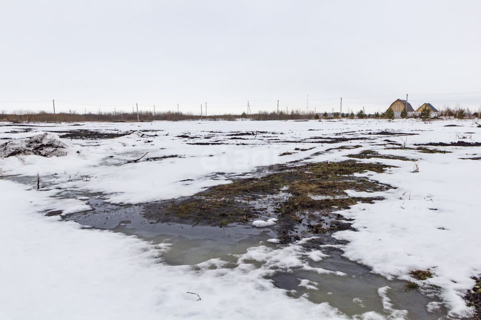 земля г Ялуторовск ул Жигайло городской округ Ялуторовск фото 1