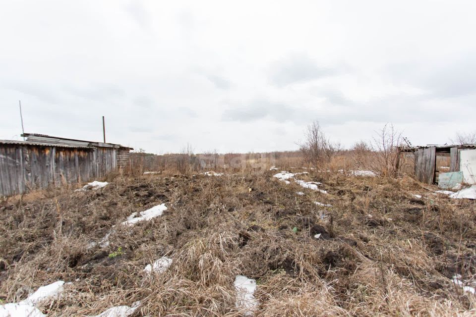 земля р-н Тобольский село Дегтярево фото 10