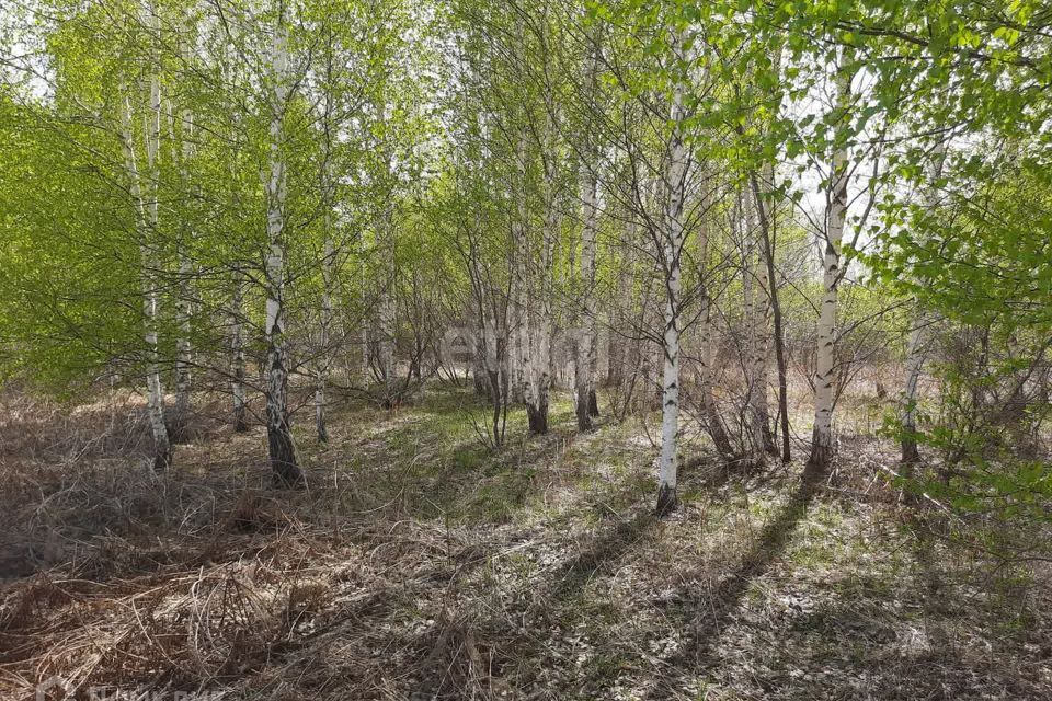 земля г Екатеринбург Екатеринбург, коттеджный посёлок Седьмая Дача, муниципальное образование фото 1