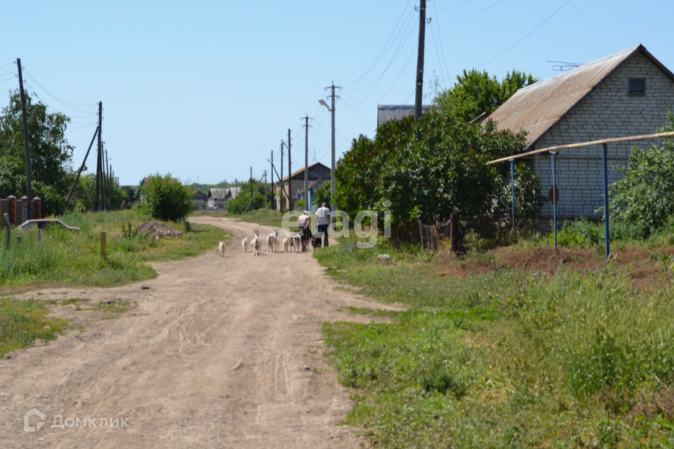 земля р-н Добровский село Липовка фото 1