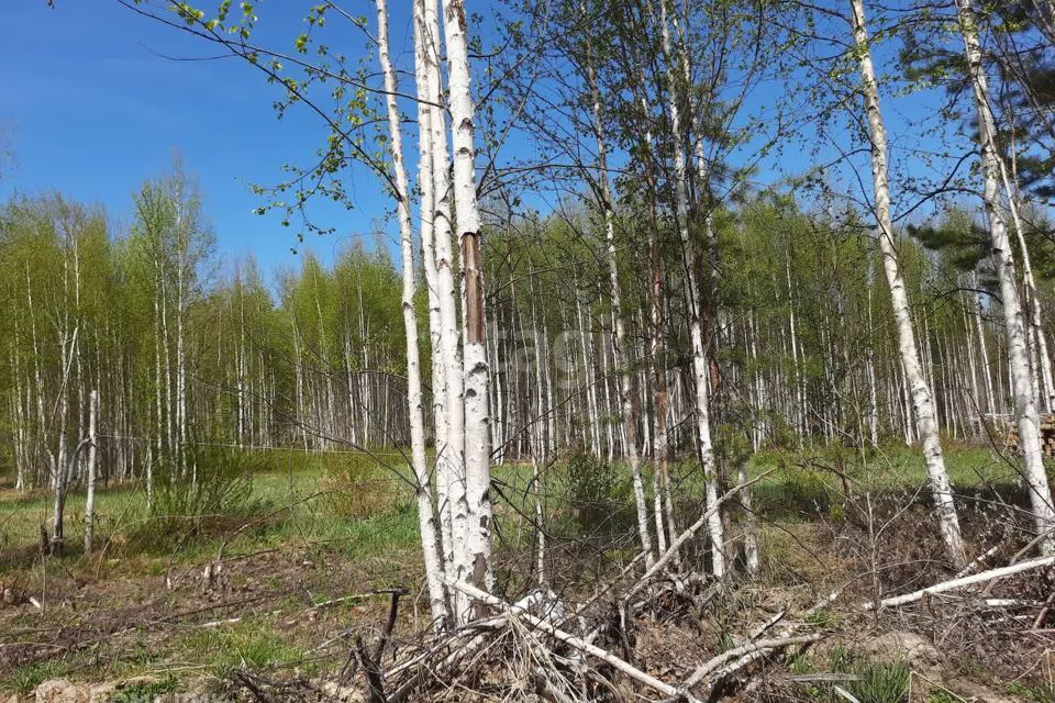 земля г Екатеринбург Екатеринбург, коттеджный посёлок Седьмая Дача, муниципальное образование фото 4