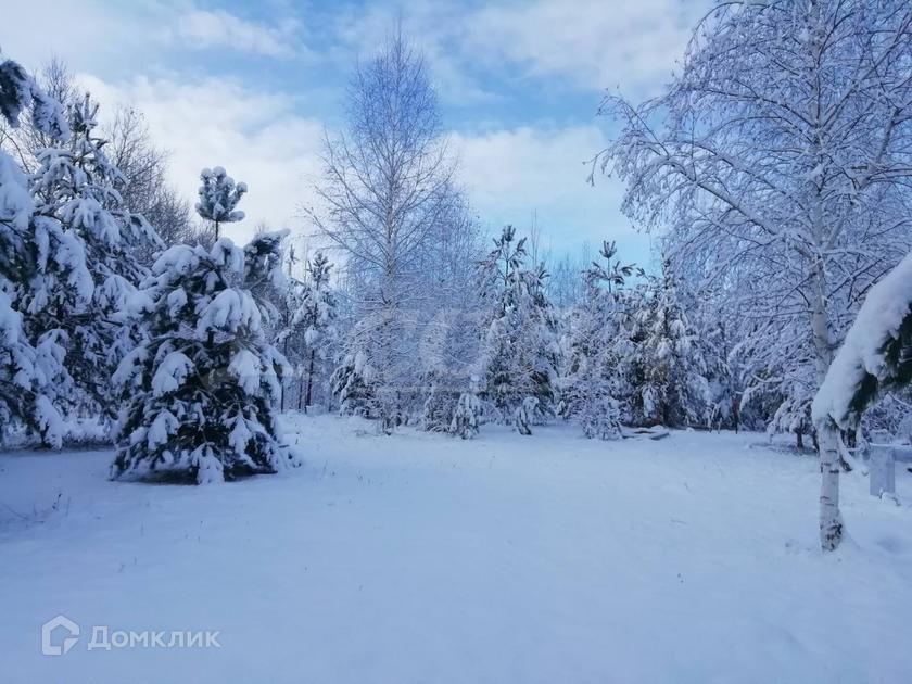 дом р-н Тюменский деревня Друганова фото 6