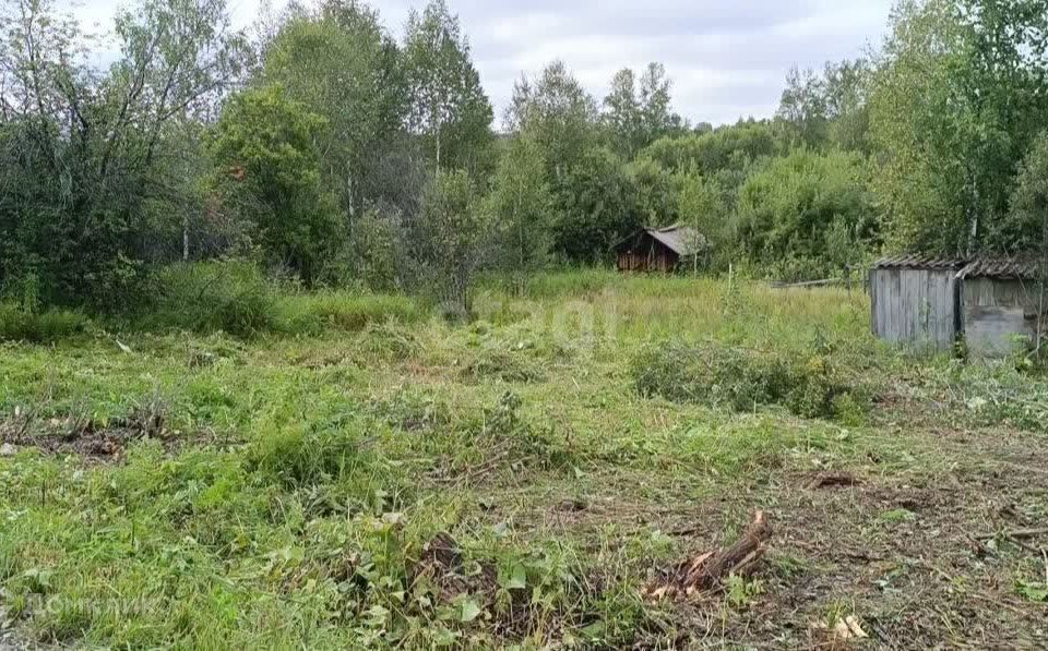 земля г Новосибирск садовое товарищество Золотая Горка, городской округ Новосибирск фото 1