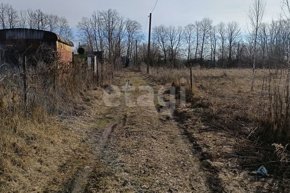 земля р-н Орловский деревня Тайное фото 5