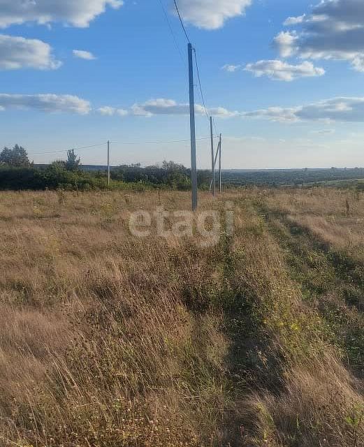 земля р-н Рамонский село Гвоздёвка фото 6