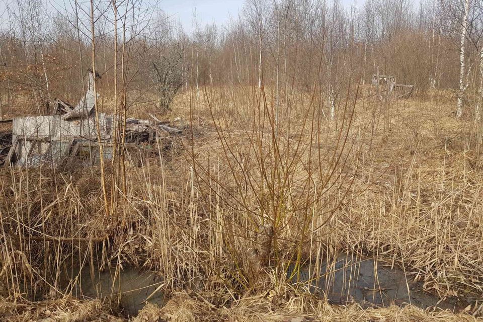 земля р-н Новгородский садоводческий массив № 3, садоводческое товарищество нка фото 1